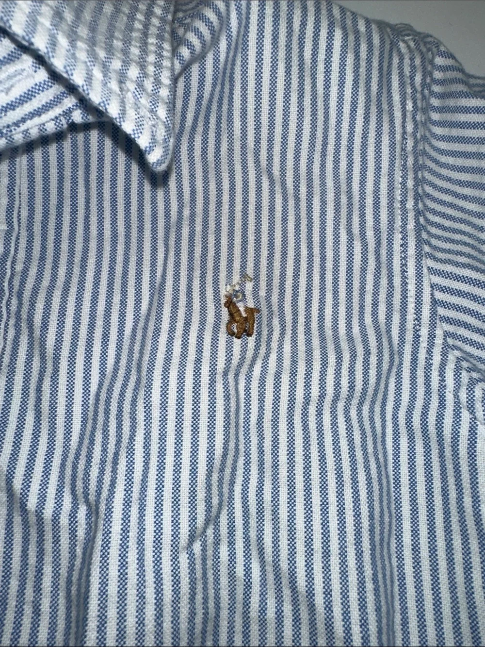 Ralph Lauren White and Blue Striped Boys' Button-Down Shirt